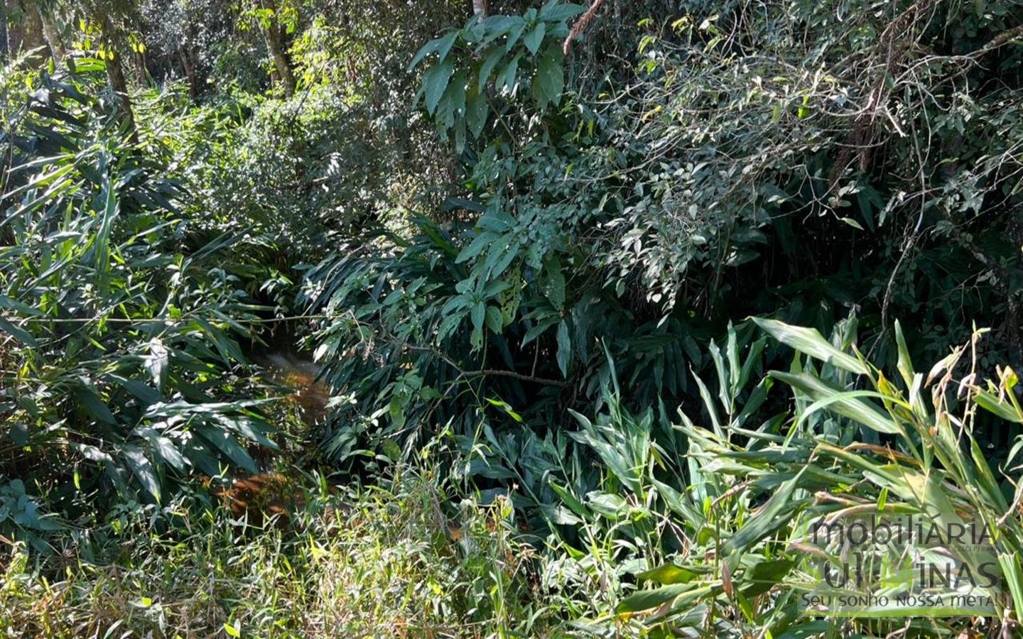 Sítio à Venda em CamanducaiaMG – 107.000 m² cod2476 (14)