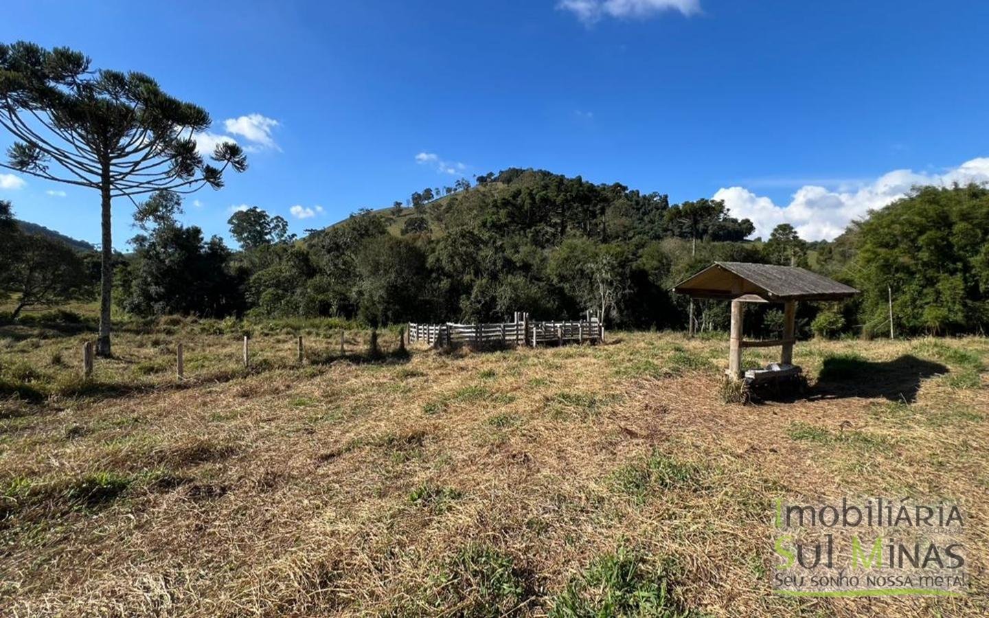 Sítio à Venda em CamanducaiaMG – 107.000 m² cod2476 (18)