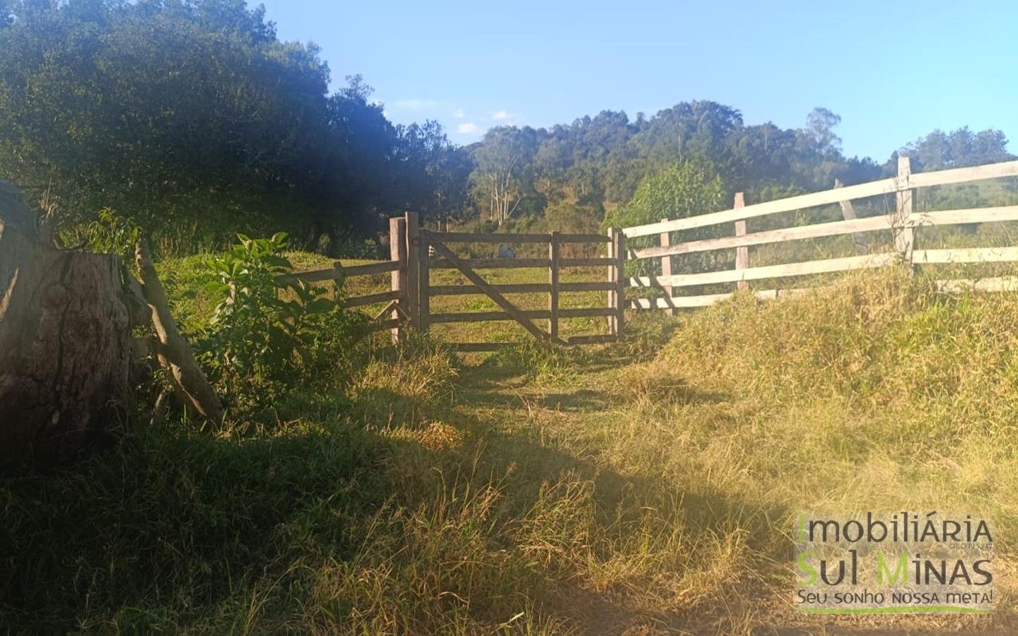 Terreno Rural à Venda – 18.000 m² de Excelente Aproveitamento em Cambuí MG cod2486 (11)