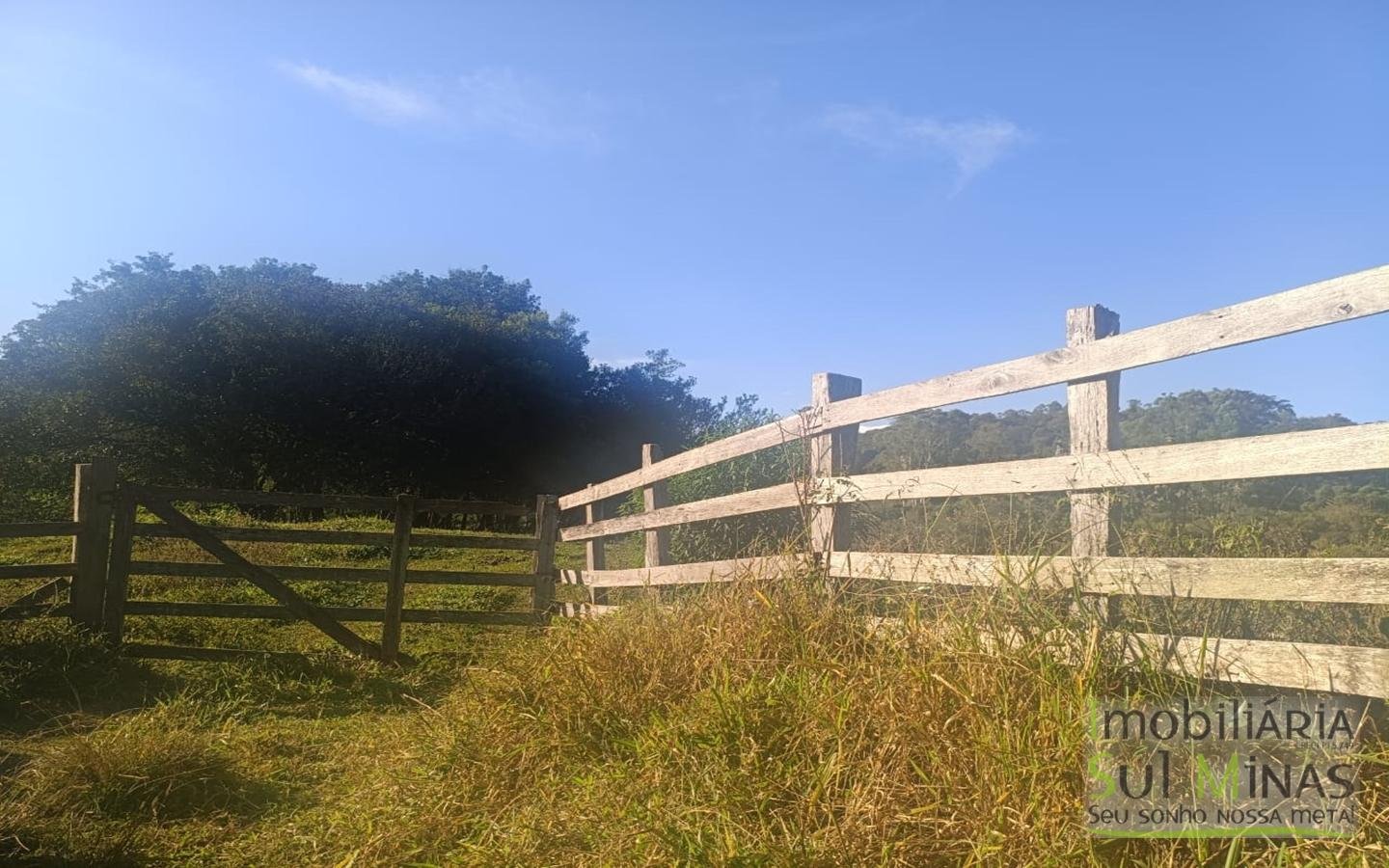 Terreno Rural à Venda – 18.000 m² de Excelente Aproveitamento em Cambuí MG cod2486 (13)