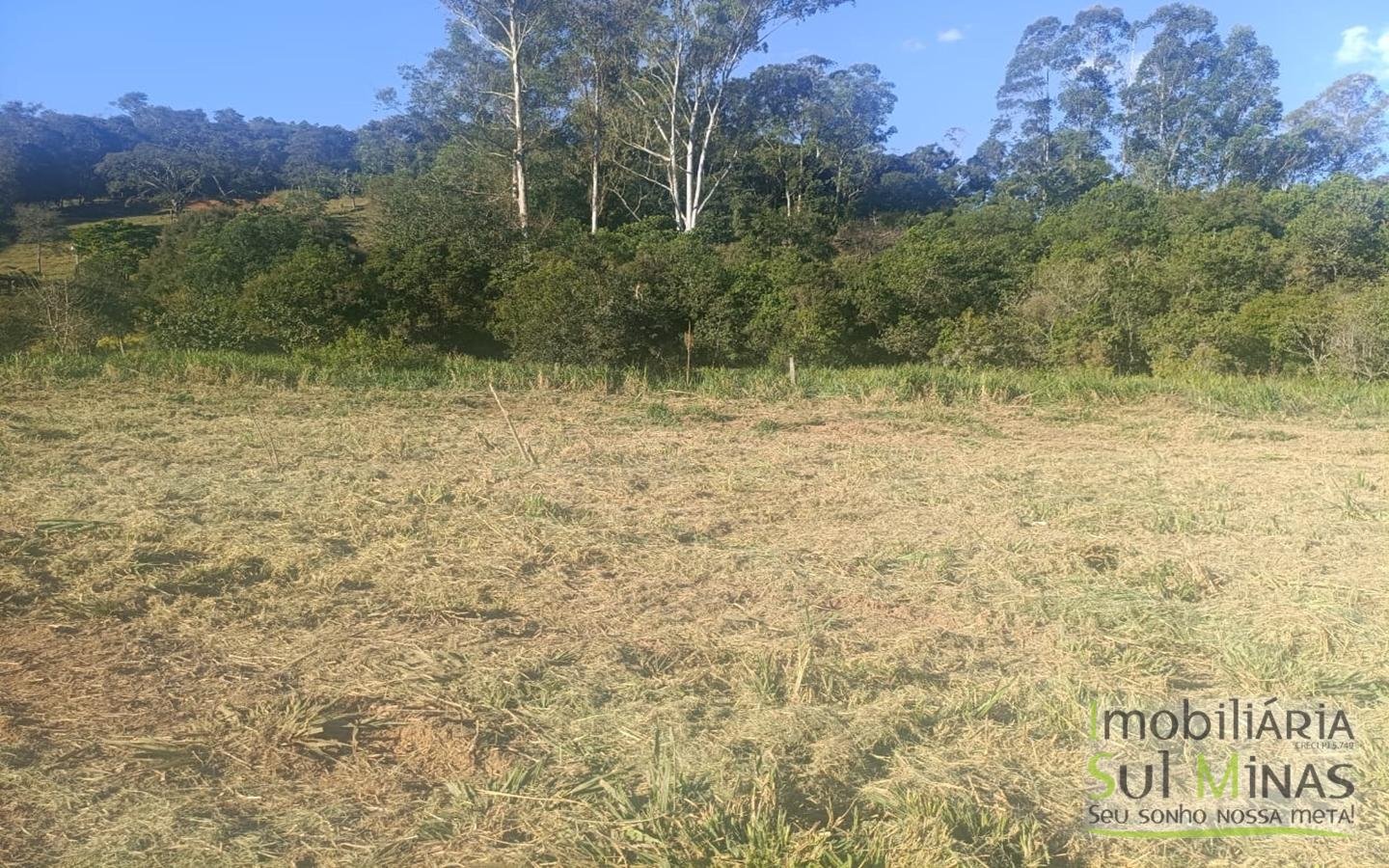 Terreno Rural à Venda – 18.000 m² de Excelente Aproveitamento em Cambuí MG cod2486 (19)