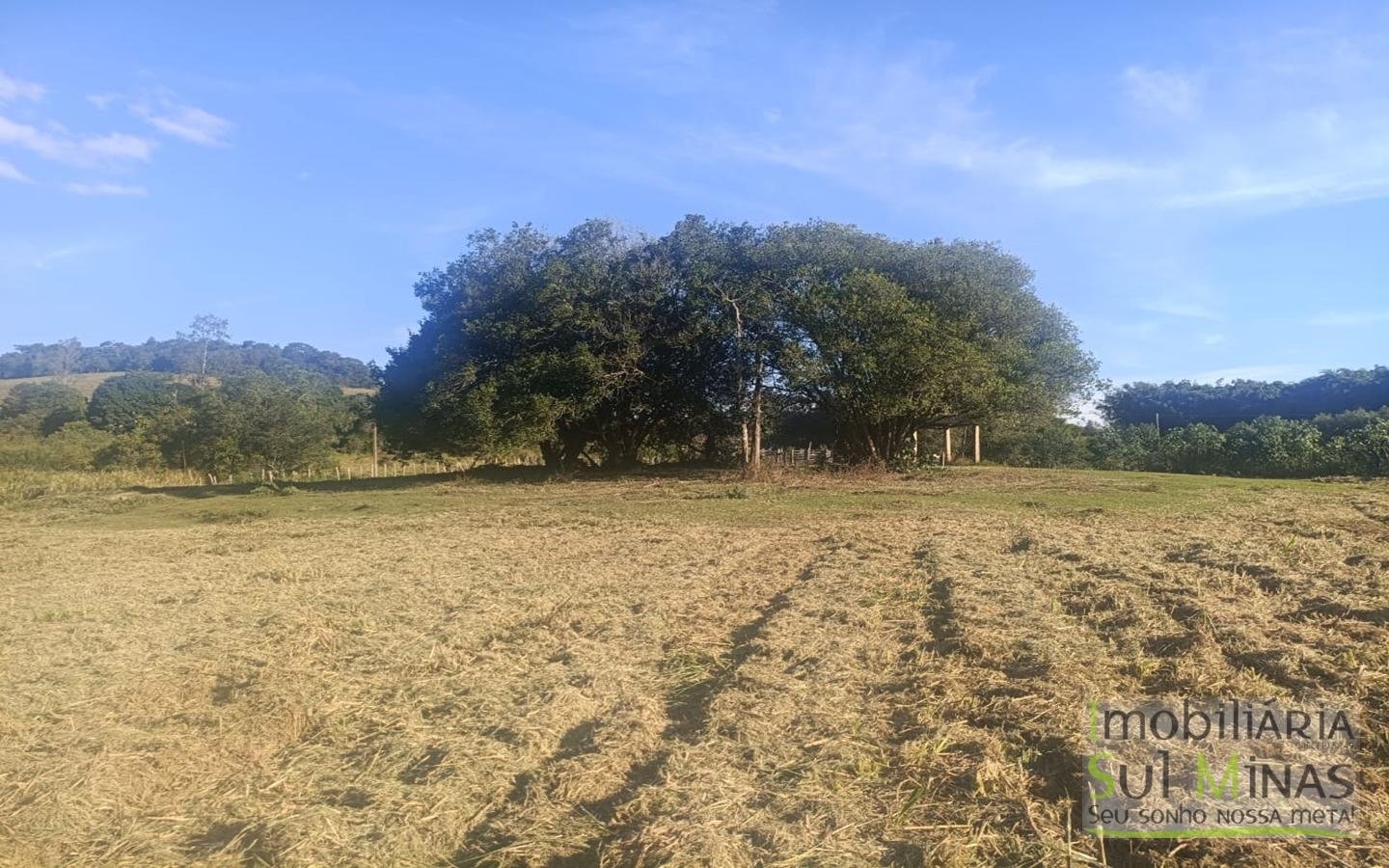Terreno Rural à Venda – 18.000 m² de Excelente Aproveitamento em Cambuí MG cod2486 (22)