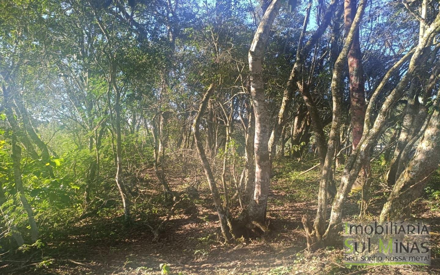 Terreno Rural à Venda – 18.000 m² de Excelente Aproveitamento em Cambuí MG cod2486 (23)