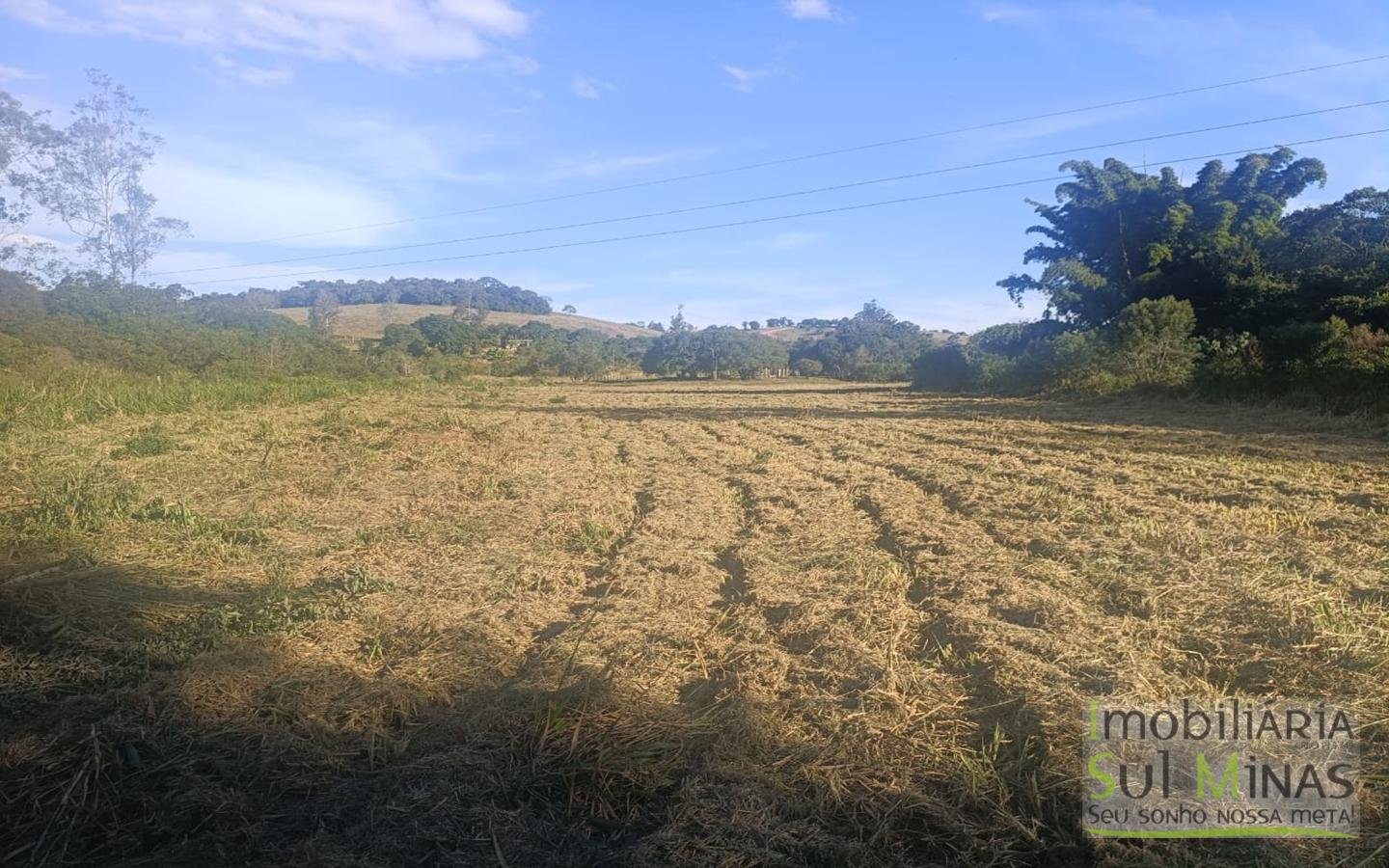 Terreno Rural à Venda – 18.000 m² de Excelente Aproveitamento em Cambuí MG cod2486 (24)