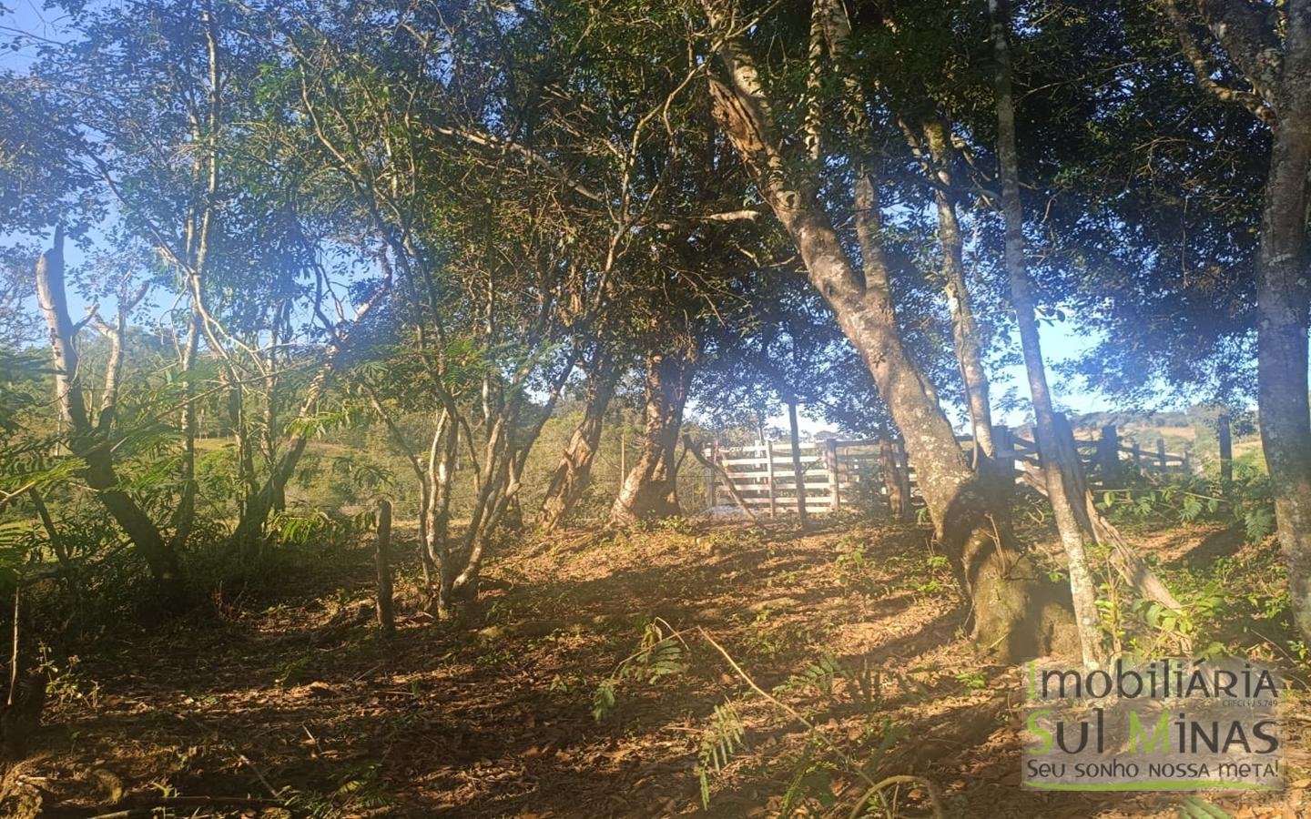 Terreno Rural à Venda – 18.000 m² de Excelente Aproveitamento em Cambuí MG cod2486 (27)