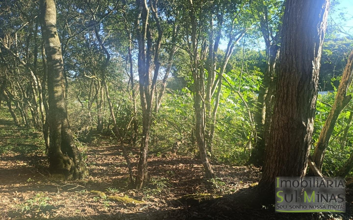 Terreno Rural à Venda – 18.000 m² de Excelente Aproveitamento em Cambuí MG cod2486 (31)