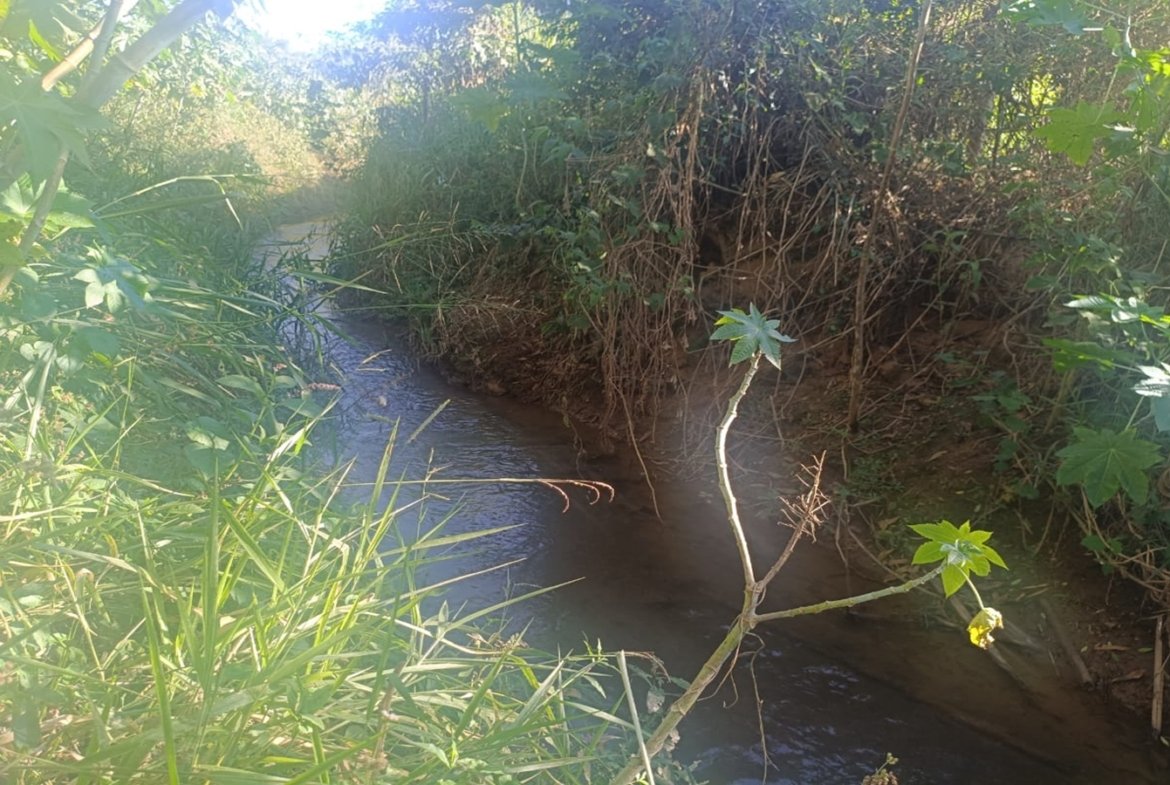1170