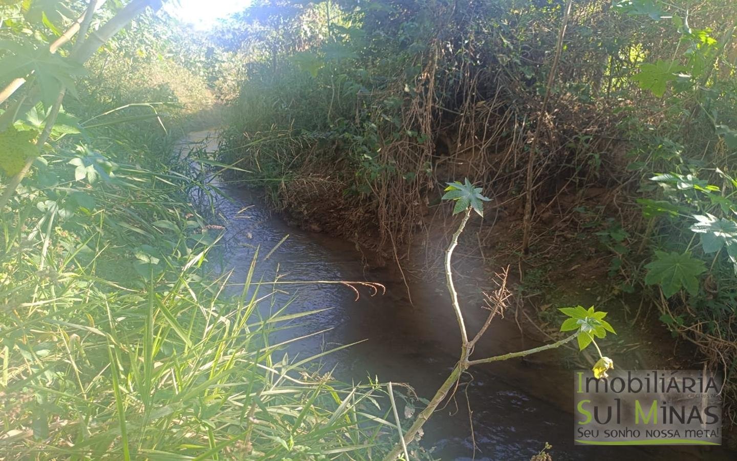 Terreno Rural à Venda – 18.000 m² de Excelente Aproveitamento em Cambuí MG cod2486 (32)