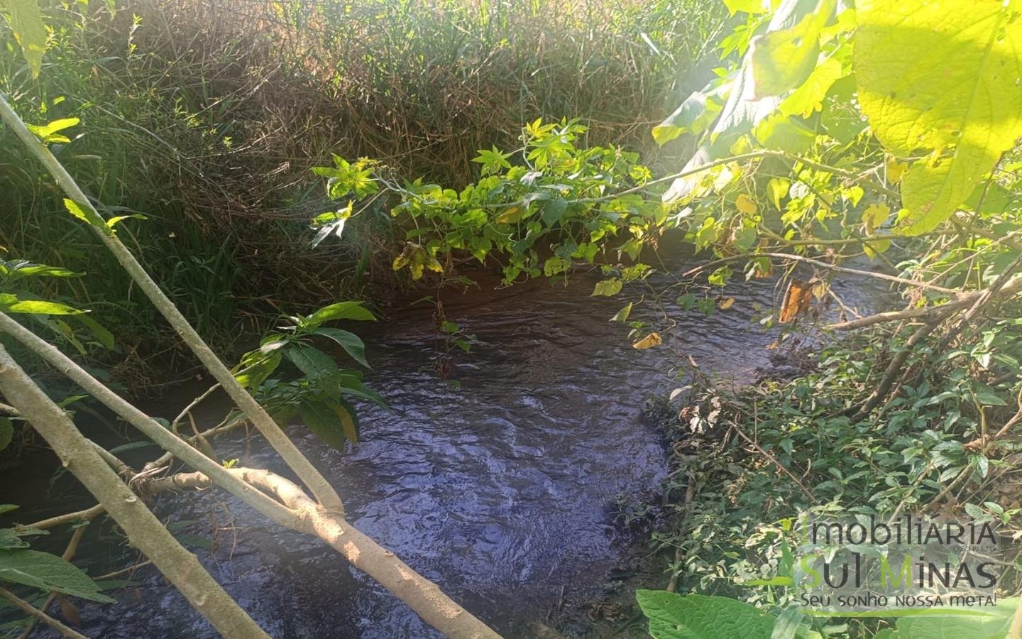 Terreno Rural à Venda – 18.000 m² de Excelente Aproveitamento em Cambuí MG cod2486 (33)