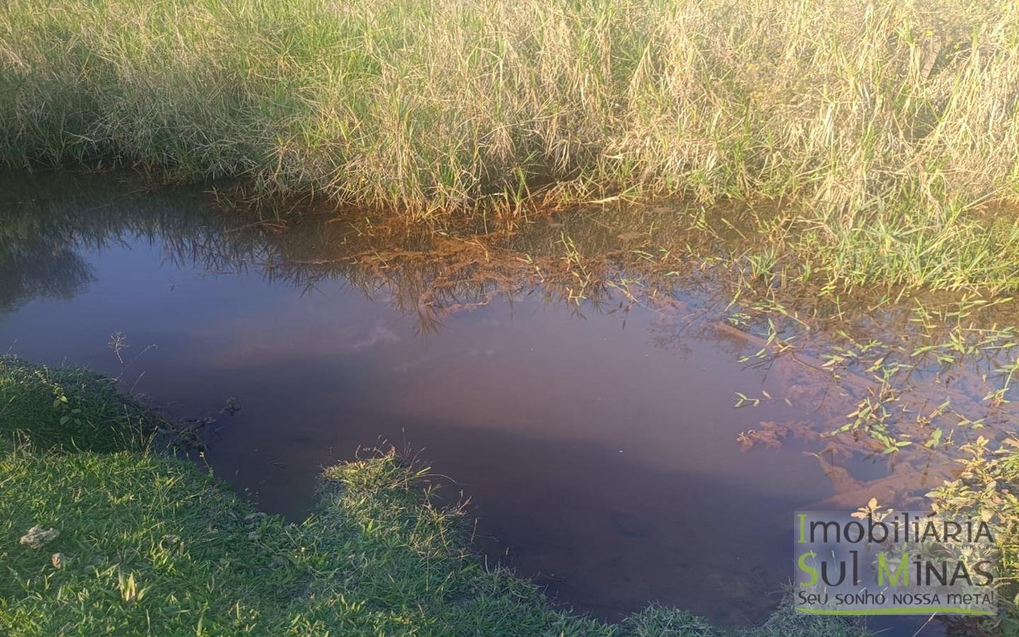 Terreno Rural à Venda – 18.000 m² de Excelente Aproveitamento em Cambuí MG cod2486 (5)