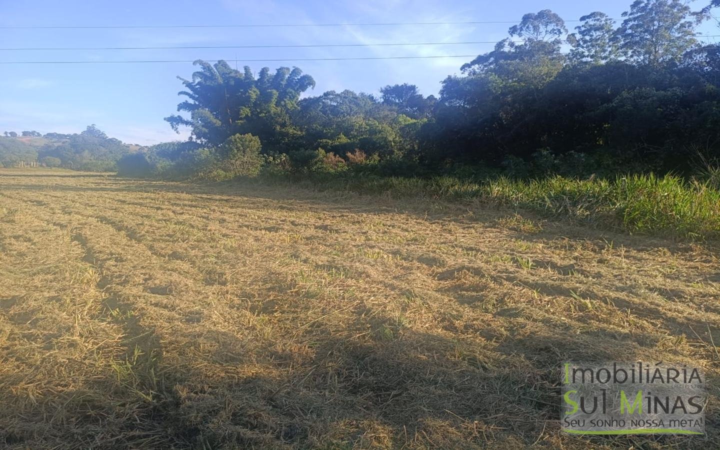 Terreno Rural à Venda – 18.000 m² de Excelente Aproveitamento em Cambuí MG cod2486 (7)