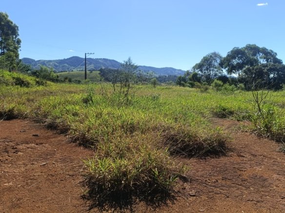 Terreno Urbano com Potencial para Galpão à Venda em CambuíMGcod2482 (5)