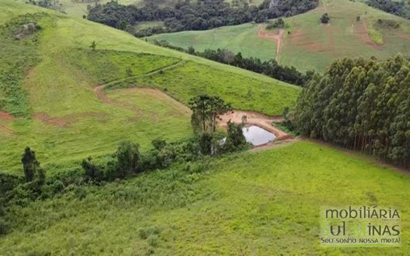 Terreno com 10,22 Hectares  Vista Espetacular a Venda em Senador Amaral MG Cód. 1702 (17)