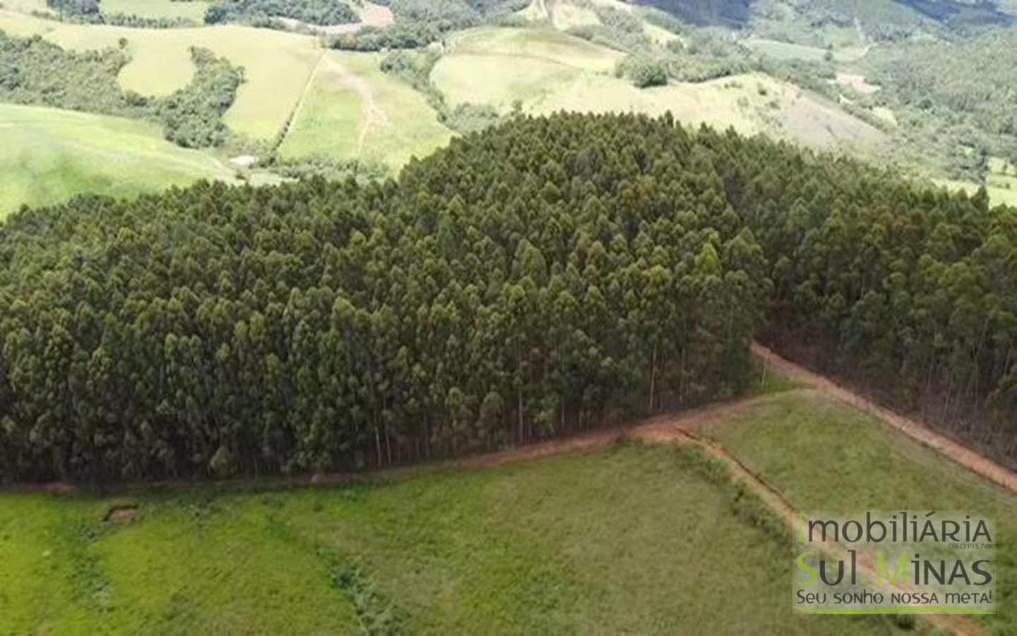 Terreno com 10,22 Hectares  Vista Espetacular a Venda em Senador Amaral MG Cód. 1702 (19)