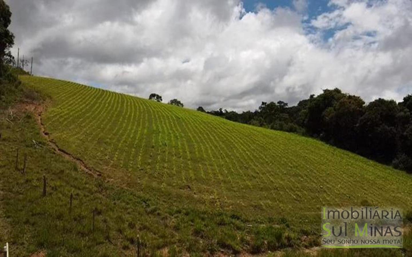 Terreno com 10,22 Hectares  Vista Espetacular a Venda em Senador Amaral MG Cód. 1702 (20)