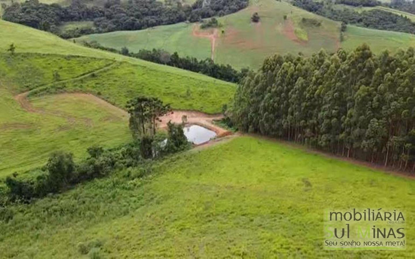 Terreno com 10,22 Hectares  Vista Espetacular a Venda em Senador Amaral MG Cód. 1702 (22)