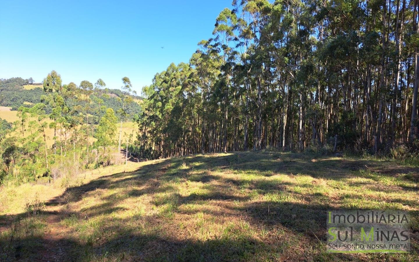 Terreno com 10,22 Hectares  Vista Espetacular a Venda em Senador Amaral MG Cód. 1702 (26)
