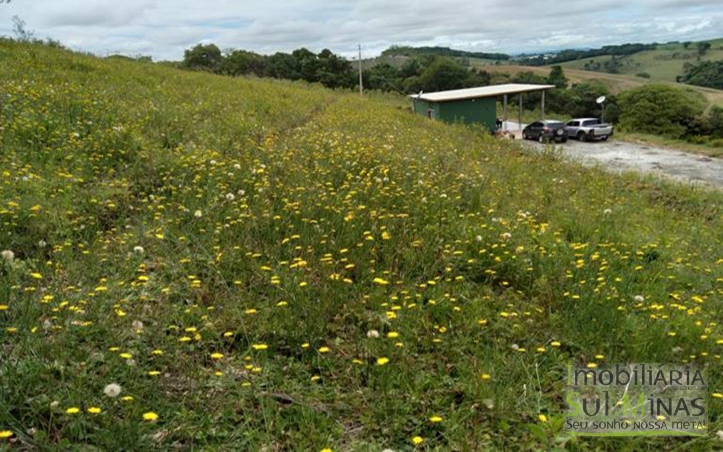 Terreno com 10,22 Hectares  Vista Espetacular a Venda em Senador Amaral MG Cód. 1702 (7)
