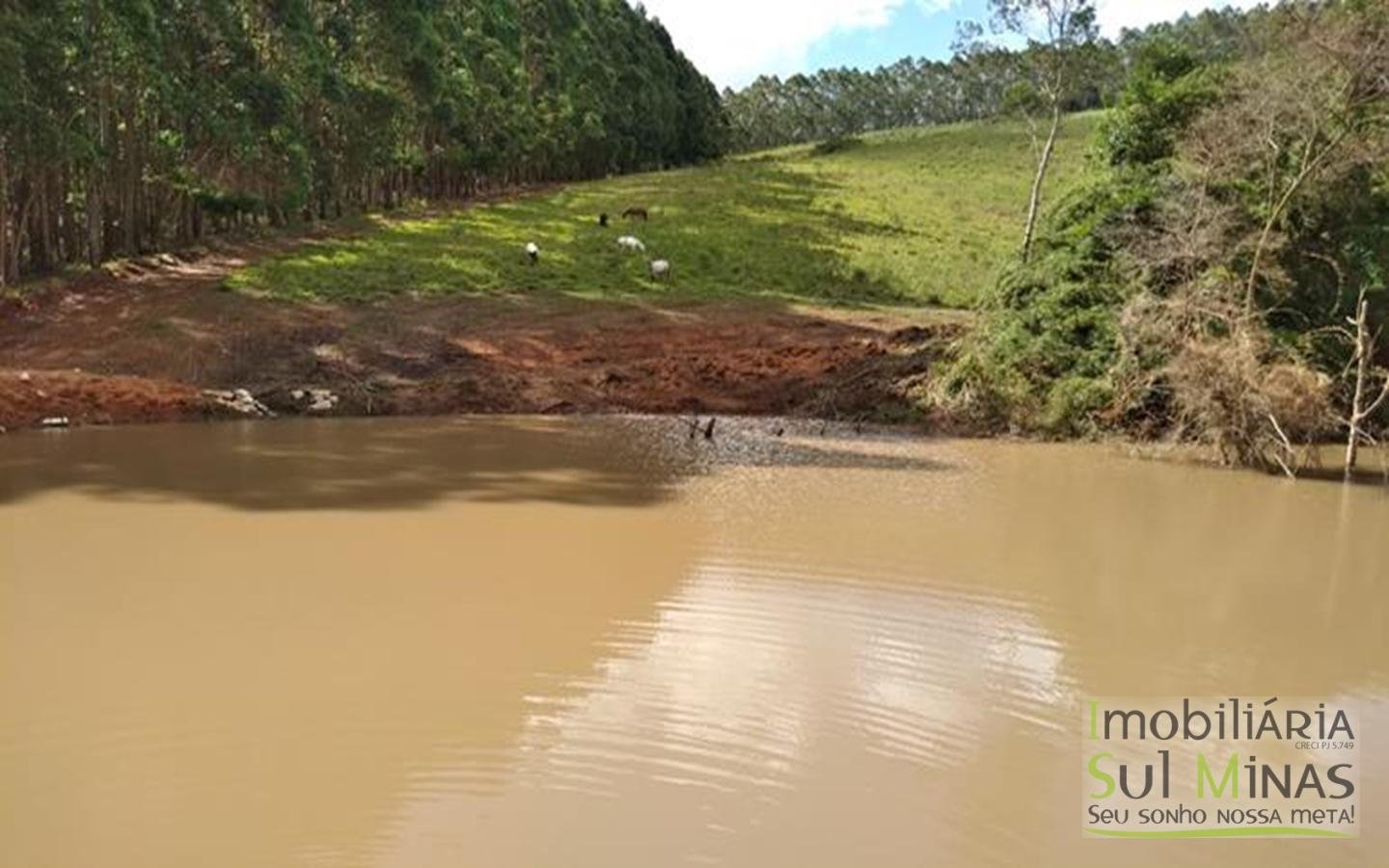 Terreno com 10,22 Hectares  Vista Espetacular a Venda em Senador Amaral MG Cód. 1702 (8)