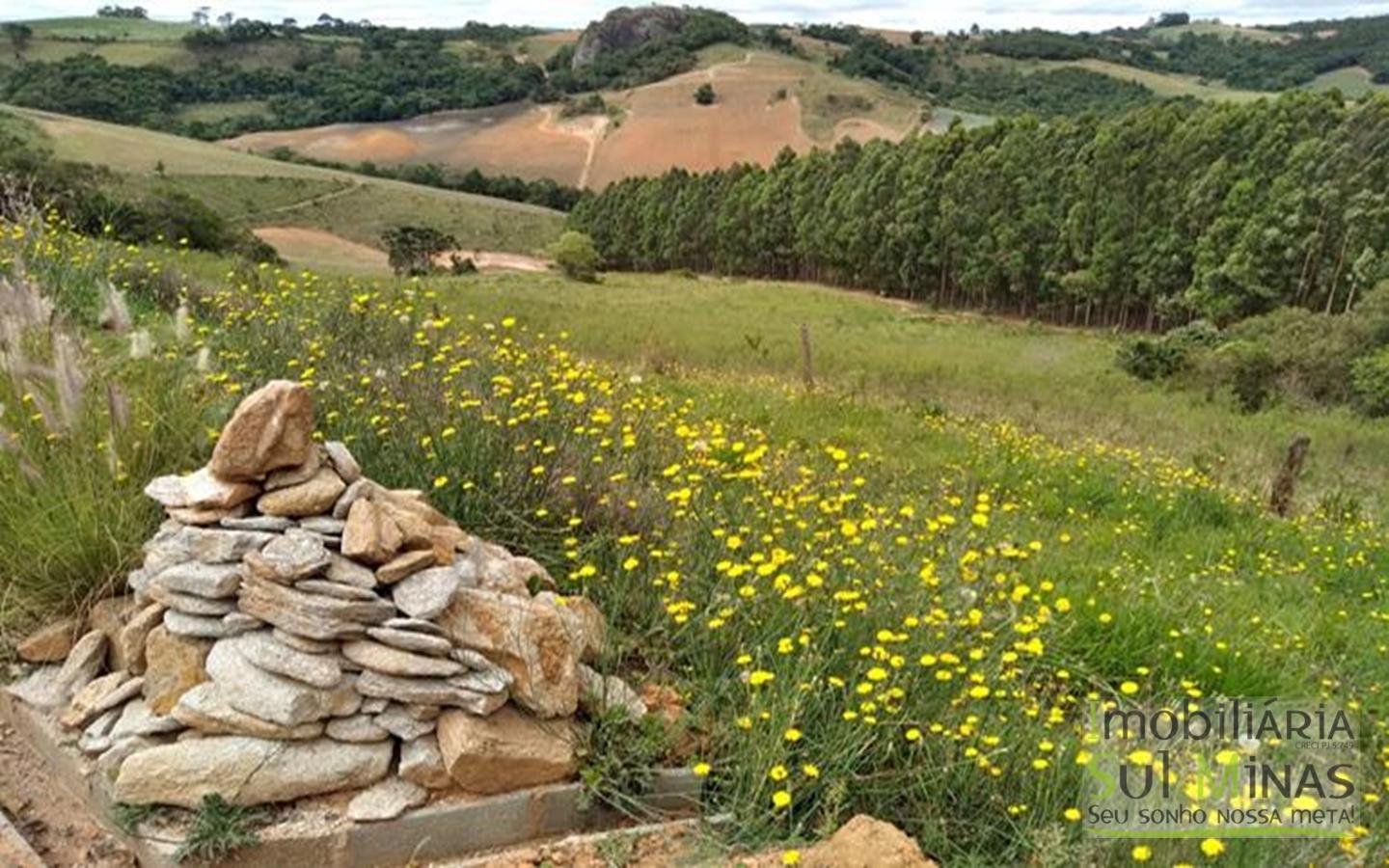Terreno com 10,22 Hectares  Vista Espetacular a Venda em Senador Amaral MG Cód. 1702 (9)