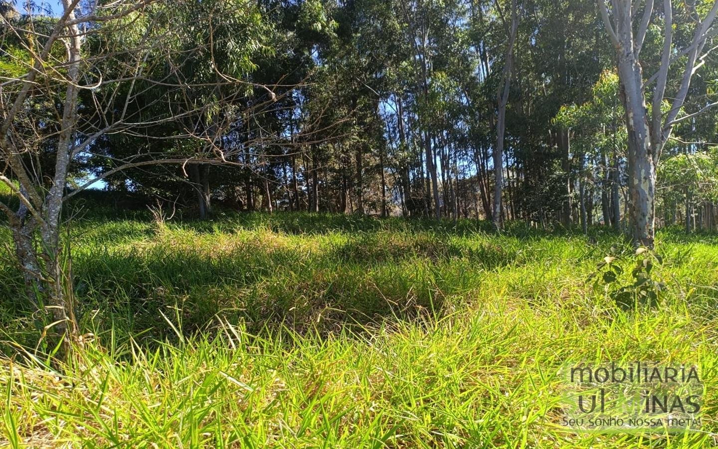 Terreno urbano com 7.500 m² À Venda em CambuíMG cod2482 (1)