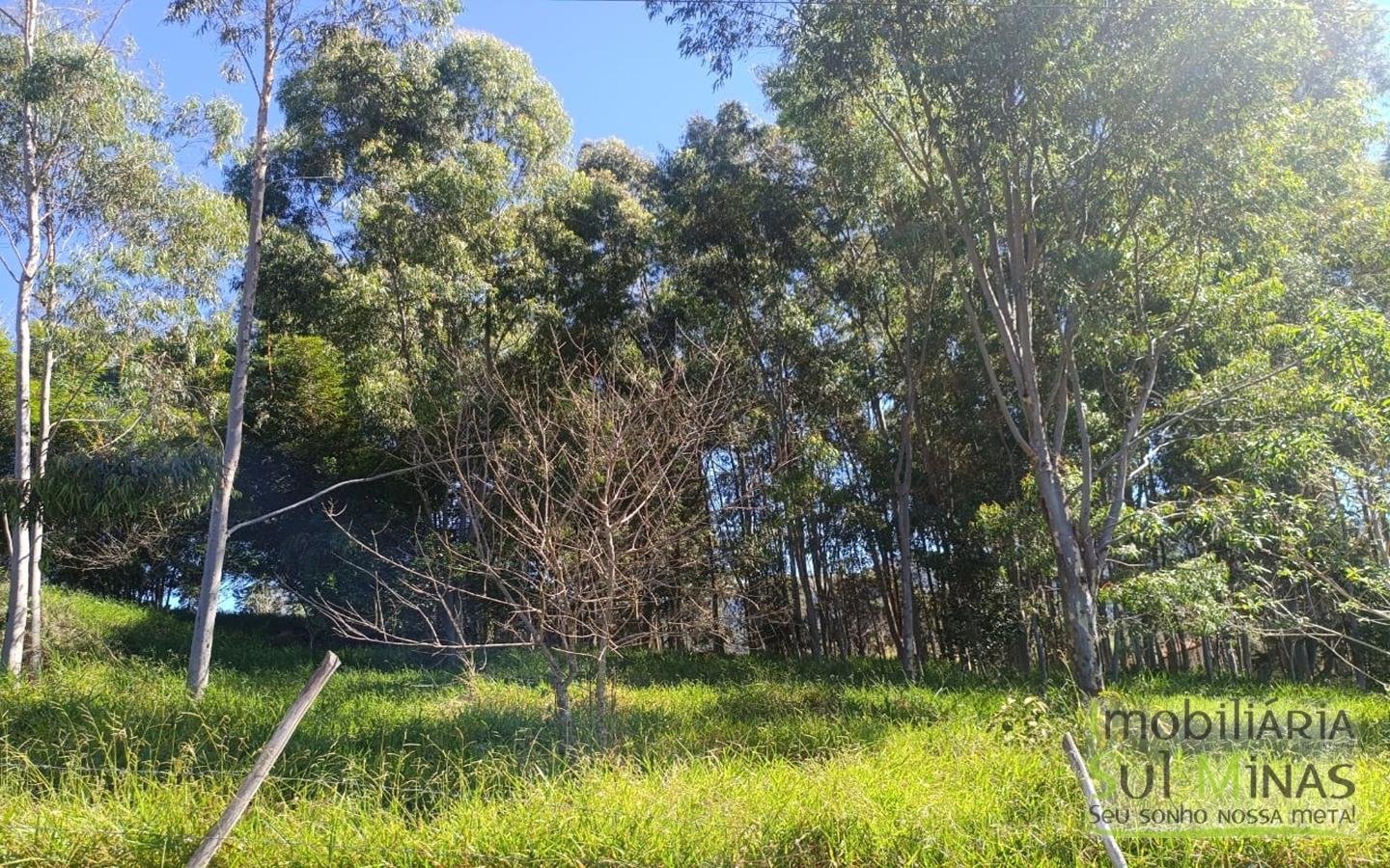 Terreno urbano com 7.500 m² À Venda em CambuíMG cod2482 (10)