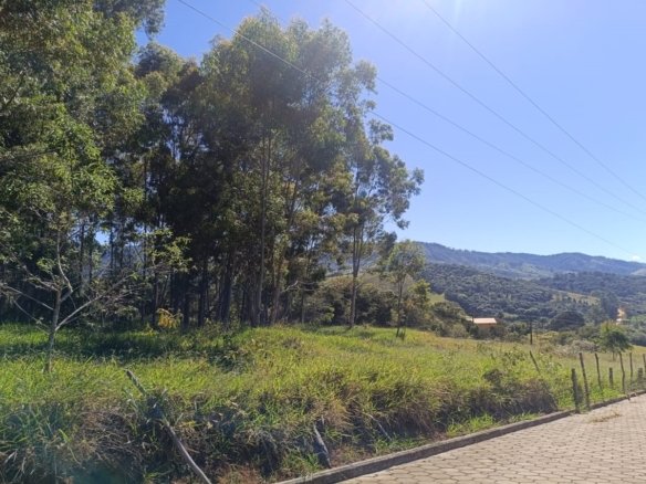 Terreno urbano com 7.500 m² À Venda em CambuíMG cod2482 (11)