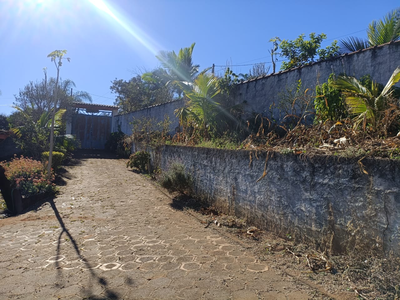 Chácara de 950m² com piscina e escritura a venda em Cambuí MG — 2503 — Foto 07 Chácara de 950m² com piscina e escritura a venda em Cambuí MG — foto 07