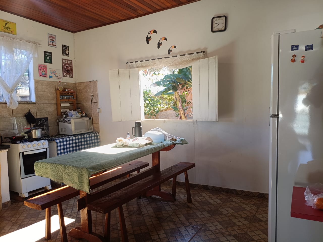Chácara de 950m² com piscina e escritura a venda em Cambuí MG — 2503 — Foto 15 Chácara de 950m² com piscina e escritura a venda em Cambuí MG — foto 15