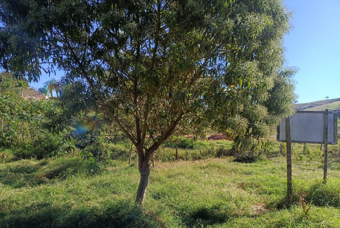 Lote de 320 m² próximo ao centro à venda em Córrego do Bom Jesus MG — foto 06