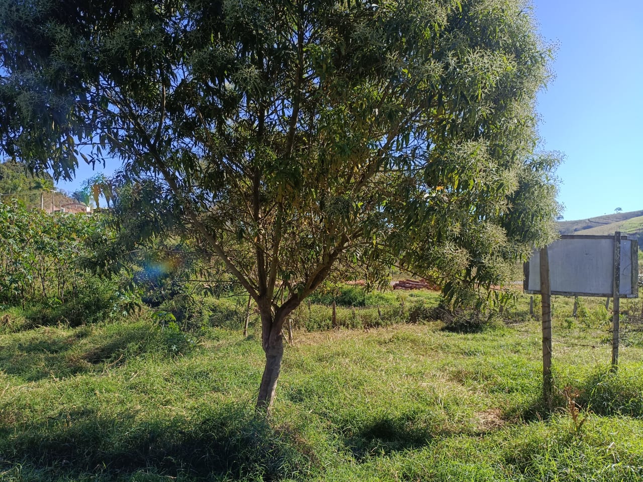 Lote de 320 m² próximo ao centro à venda em Córrego do Bom Jesus MG — 2504 — Foto 06 Lote de 320 m² próximo ao centro à venda em Córrego do Bom Jesus MG — foto 06