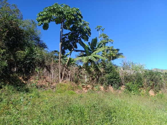 Terreno rural de 360m² a venda em Córrego do Bom Jesus MG — foto 01