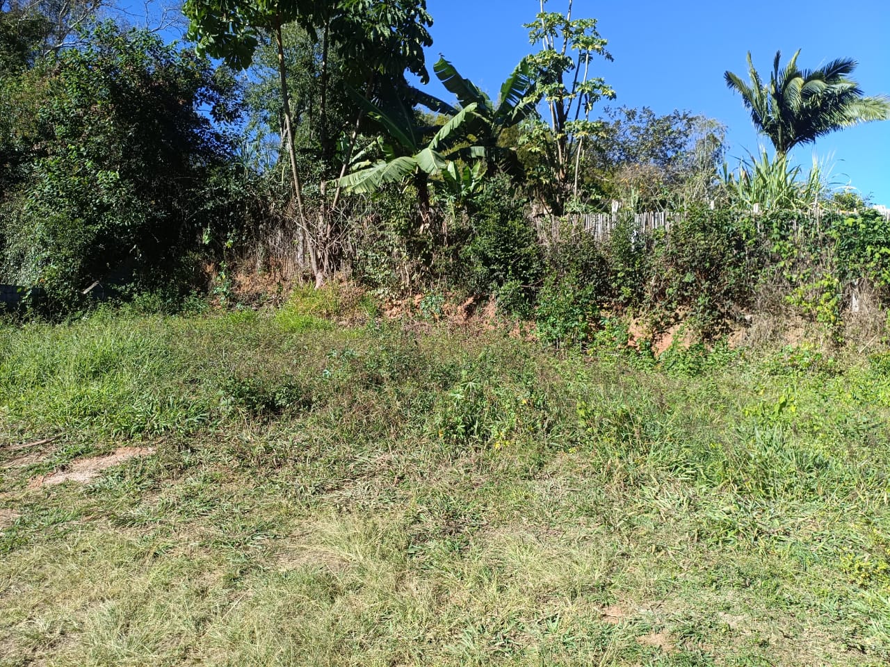 Terreno rural de 360m² a venda em Córrego do Bom Jesus MG — 2505 — Foto 07 Terreno rural de 360m² a venda em Córrego do Bom Jesus MG — foto 07