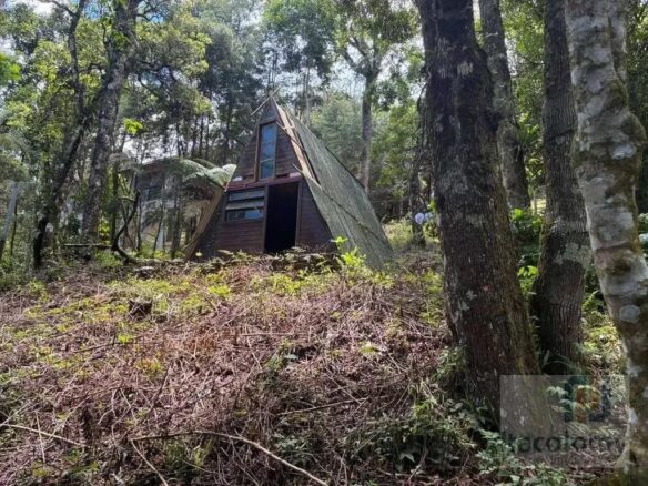 Imagem 01 do terreno em Monte Verde/MG — cód. 2515