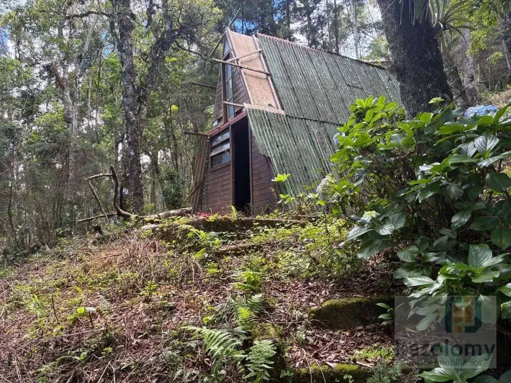Imagem 02 do terreno em Monte Verde/MG — cód. 2515