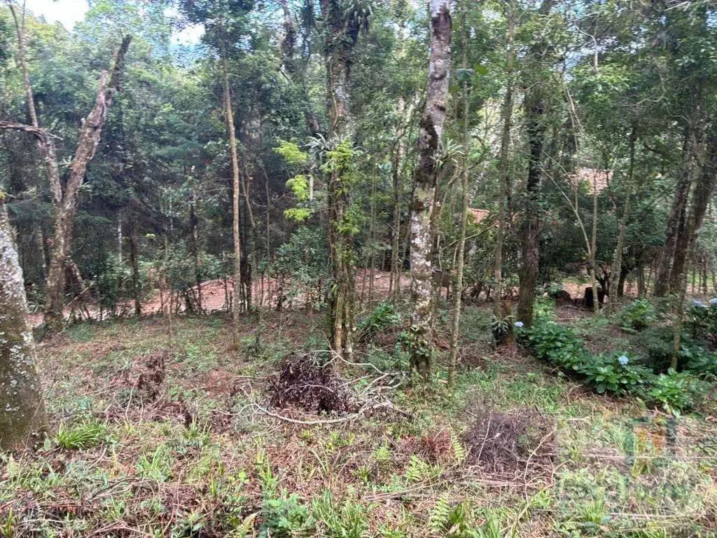Imagem 03 do terreno em Monte Verde/MG — cód. 2515