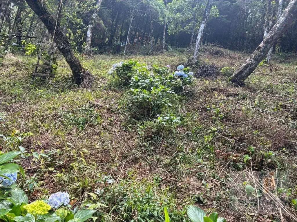 Imagem 04 do terreno em Monte Verde/MG — cód. 2515