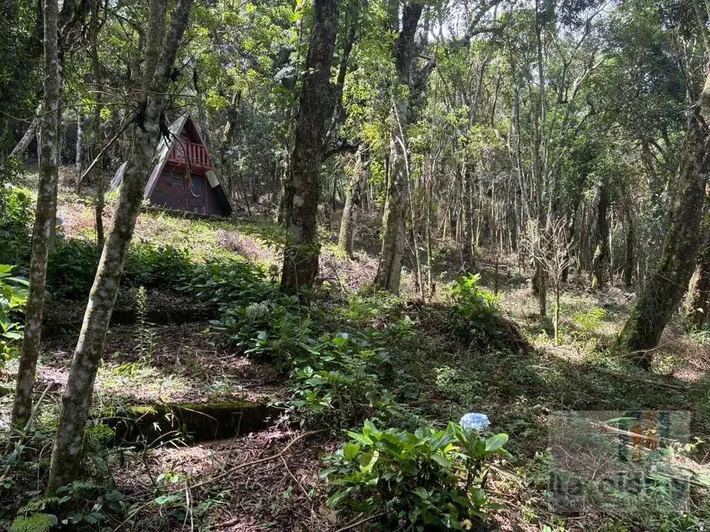 Imagem 05 do terreno em Monte Verde/MG — cód. 2515