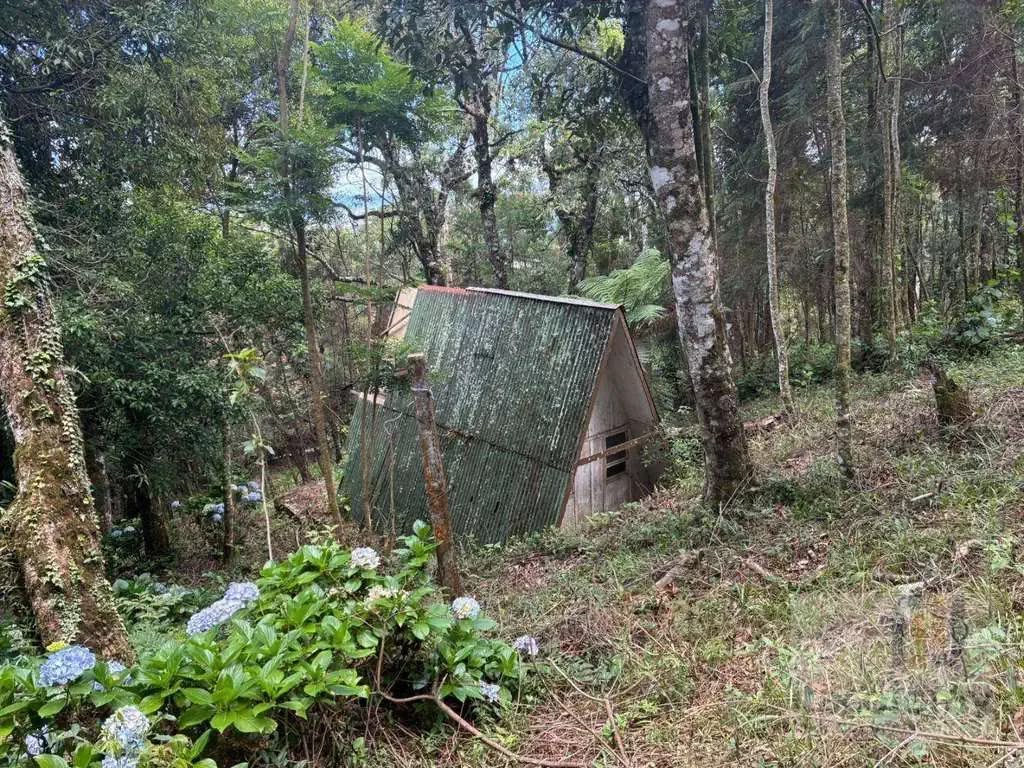 Imagem 06 do terreno em Monte Verde/MG — cód. 2515