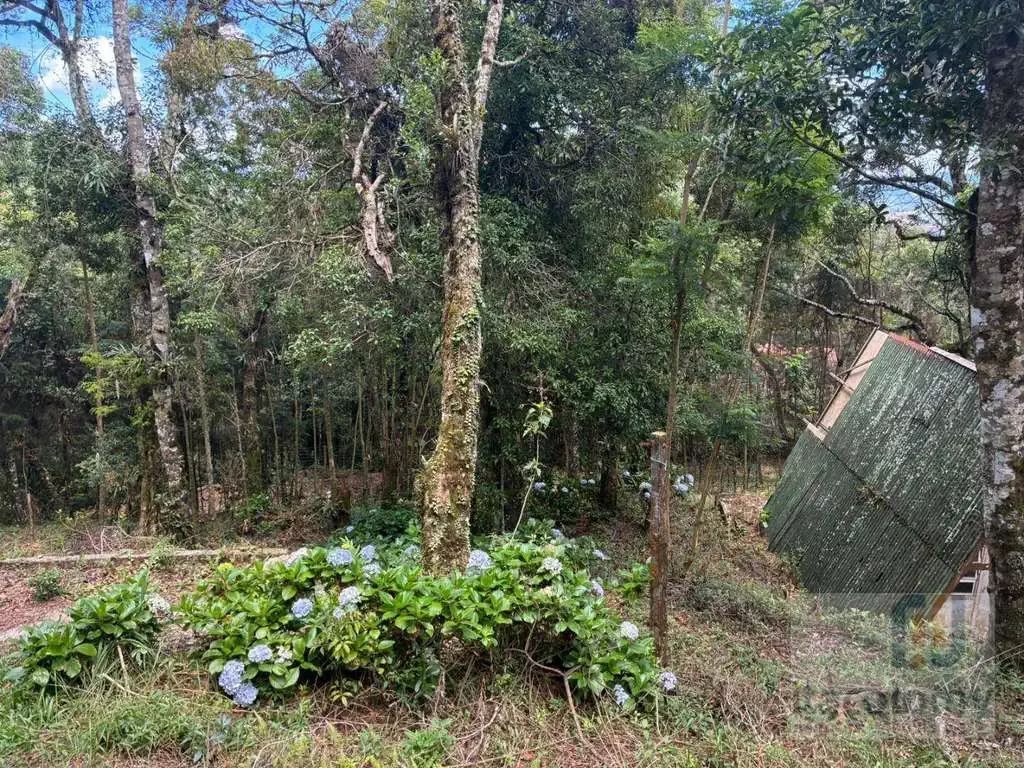 Imagem 08 do terreno em Monte Verde/MG — cód. 2515