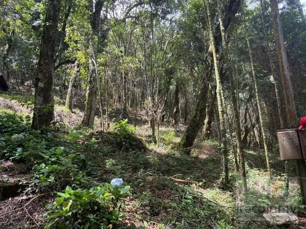 Imagem 09 do terreno em Monte Verde/MG — cód. 2515