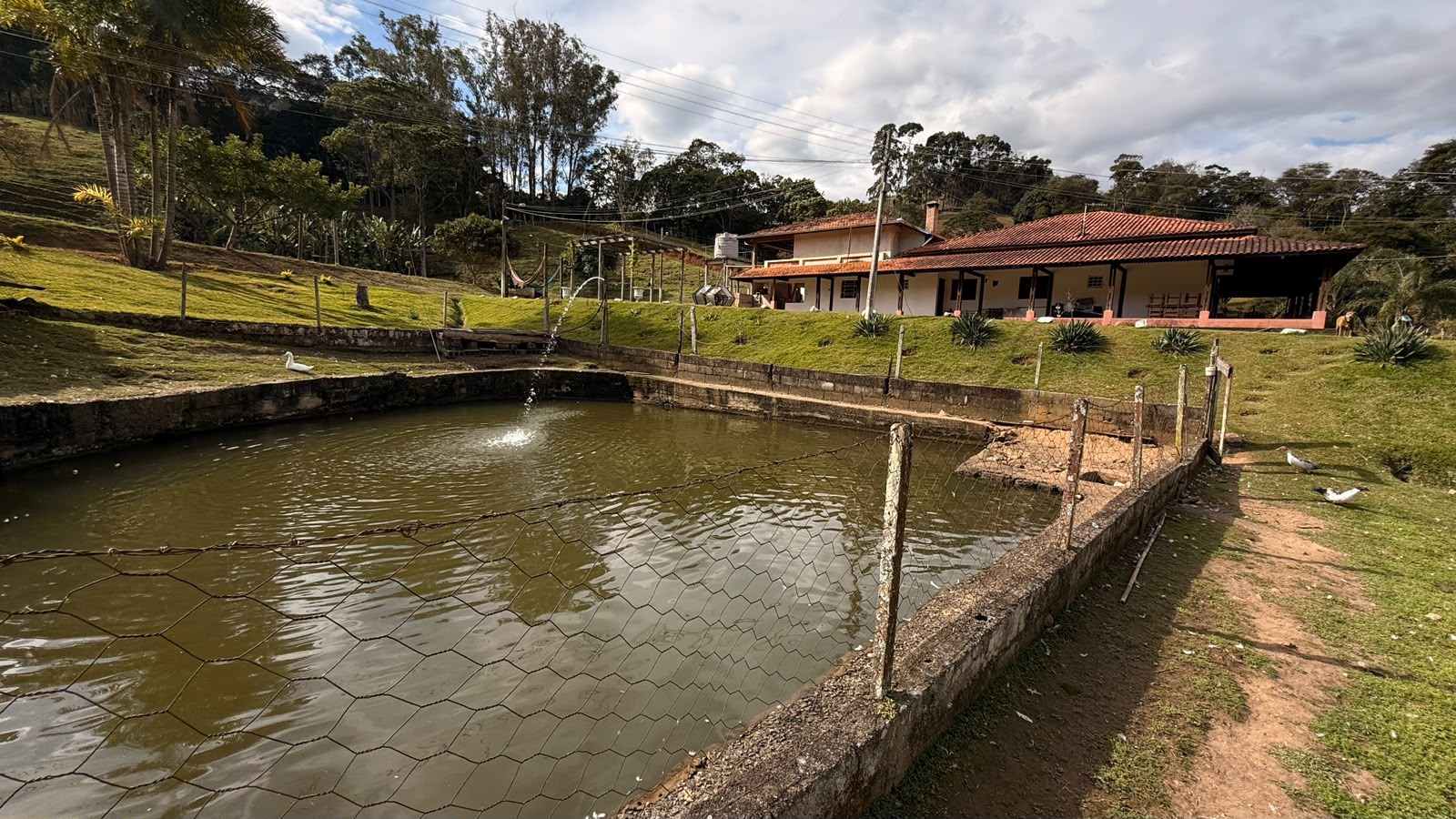 Imagem 01 do sítio em Cambuí/MG — cód. 2517