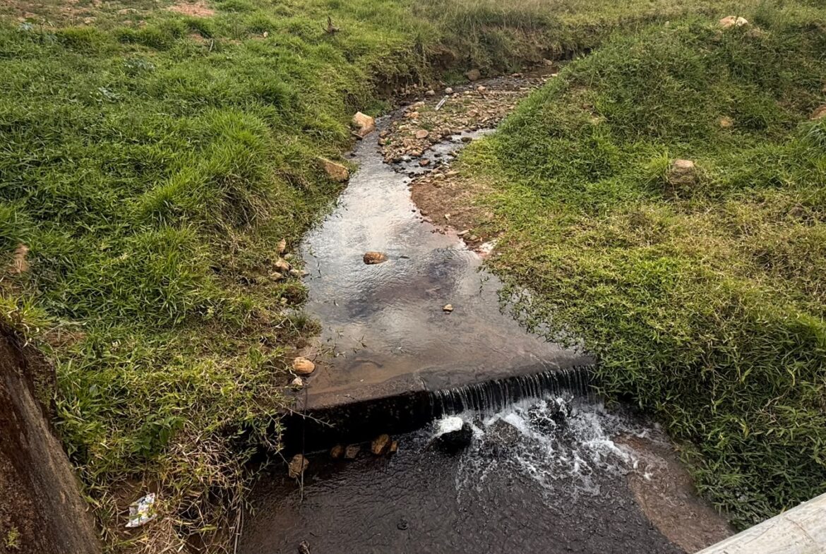 Imagem 02 do sítio em Cambuí/MG — cód. 2517