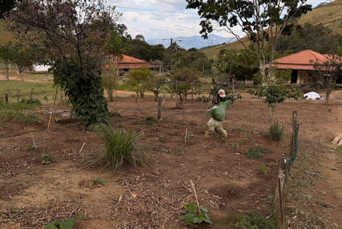 Imagem 09 do sítio em Cambuí/MG — cód. 2517