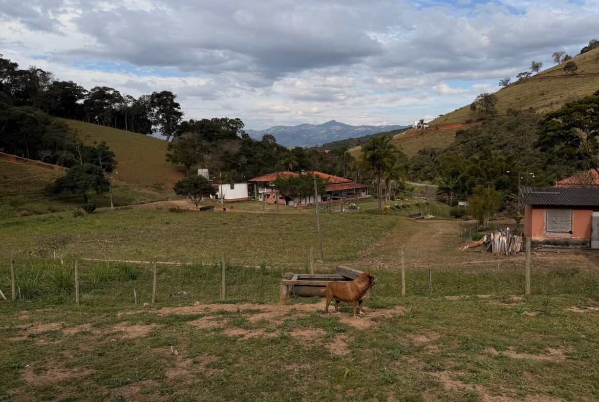 Imagem 11 do sítio em Cambuí/MG — cód. 2517