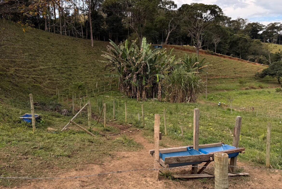 Imagem 12 do sítio em Cambuí/MG — cód. 2517