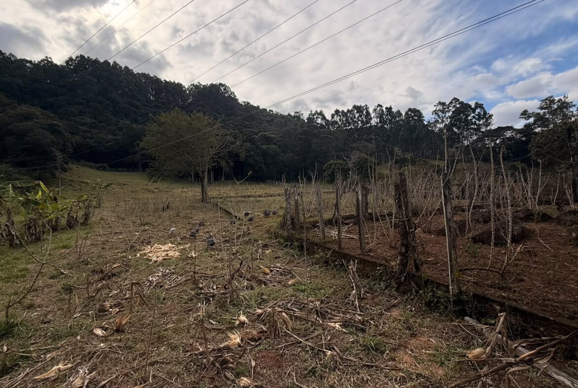 Imagem 14 do sítio em Cambuí/MG — cód. 2517