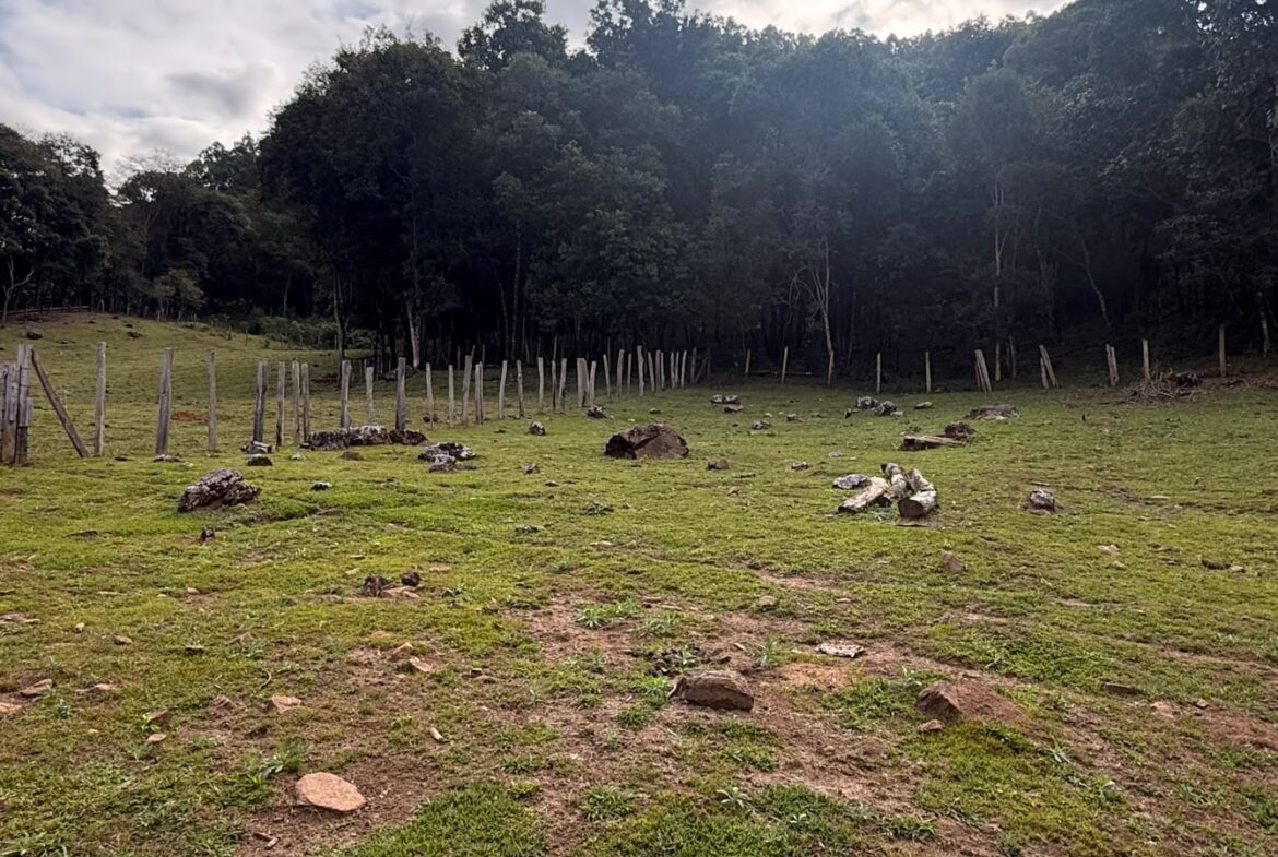 Imagem 15 do sítio em Cambuí/MG — cód. 2517