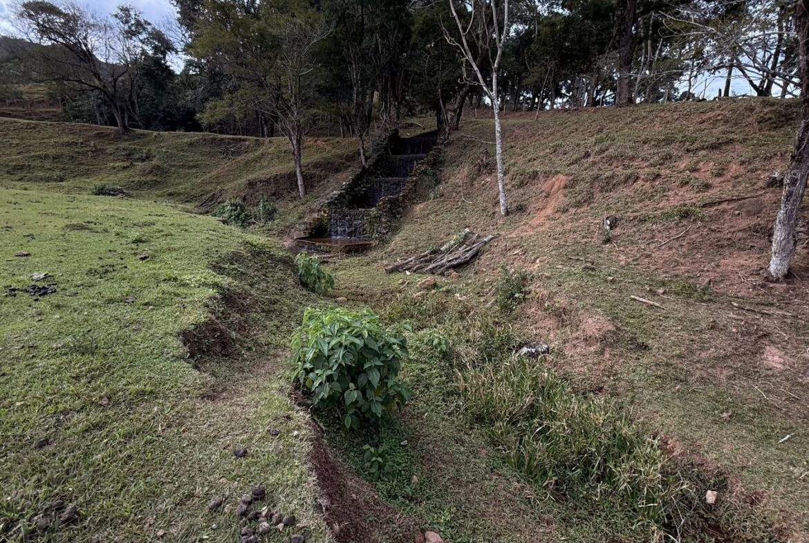Imagem 21 do sítio em Cambuí/MG — cód. 2517