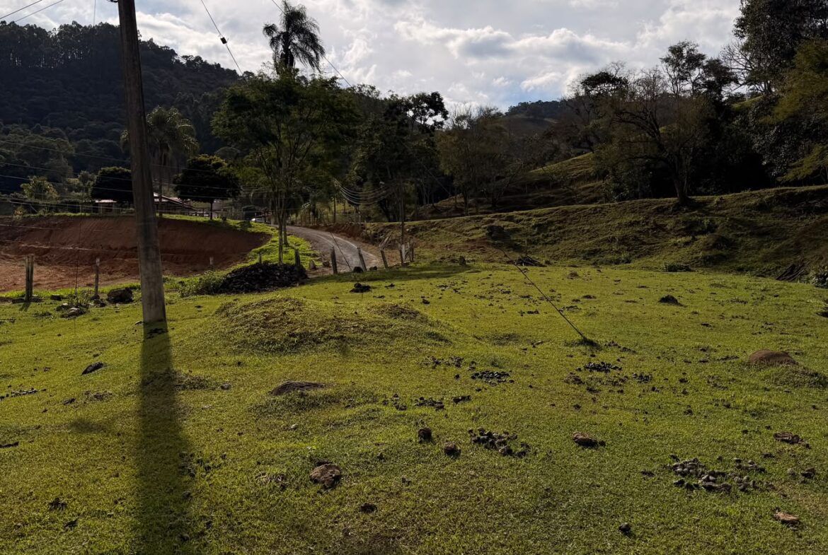 Imagem 23 do sítio em Cambuí/MG — cód. 2517